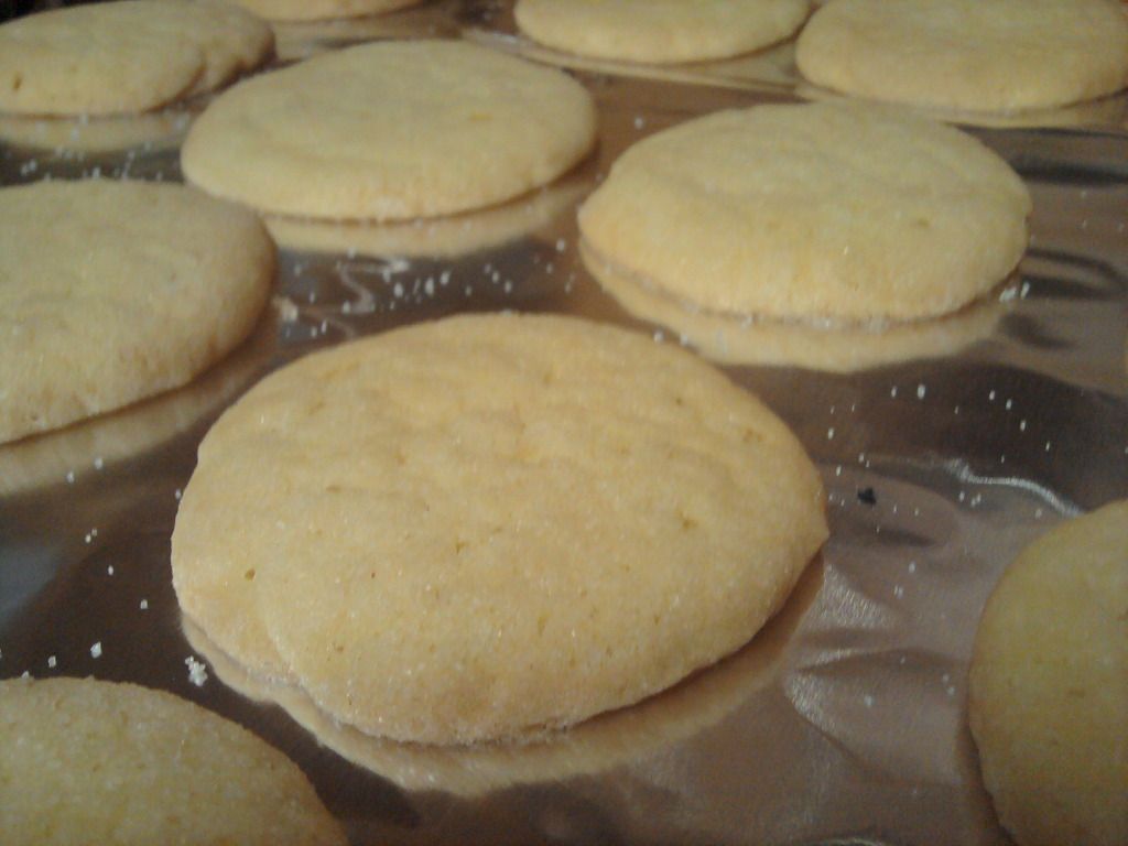 Dear Lissy Lemony Snickets